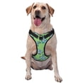 thumbnail image 1 of Vsdgher Motorcycle Riding Dinosaur Pattern Dog Harness,No Pull Pet Harness with Soft Padded Handle,Adjustable Reflective Vest with 2 Buckles,4 Slide Buckles,S-XL Large, 1 of 5
