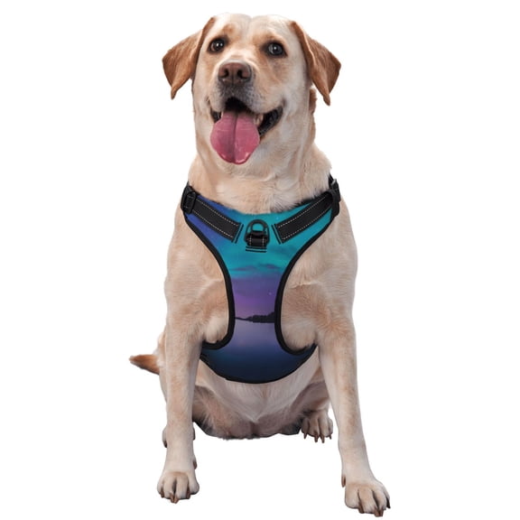 Vsdgher Night At Lake Aurora Dog Harness, No-Pull Pet Harness, Dog Vest, Pet Vest for Small to Large Dogs-Large
