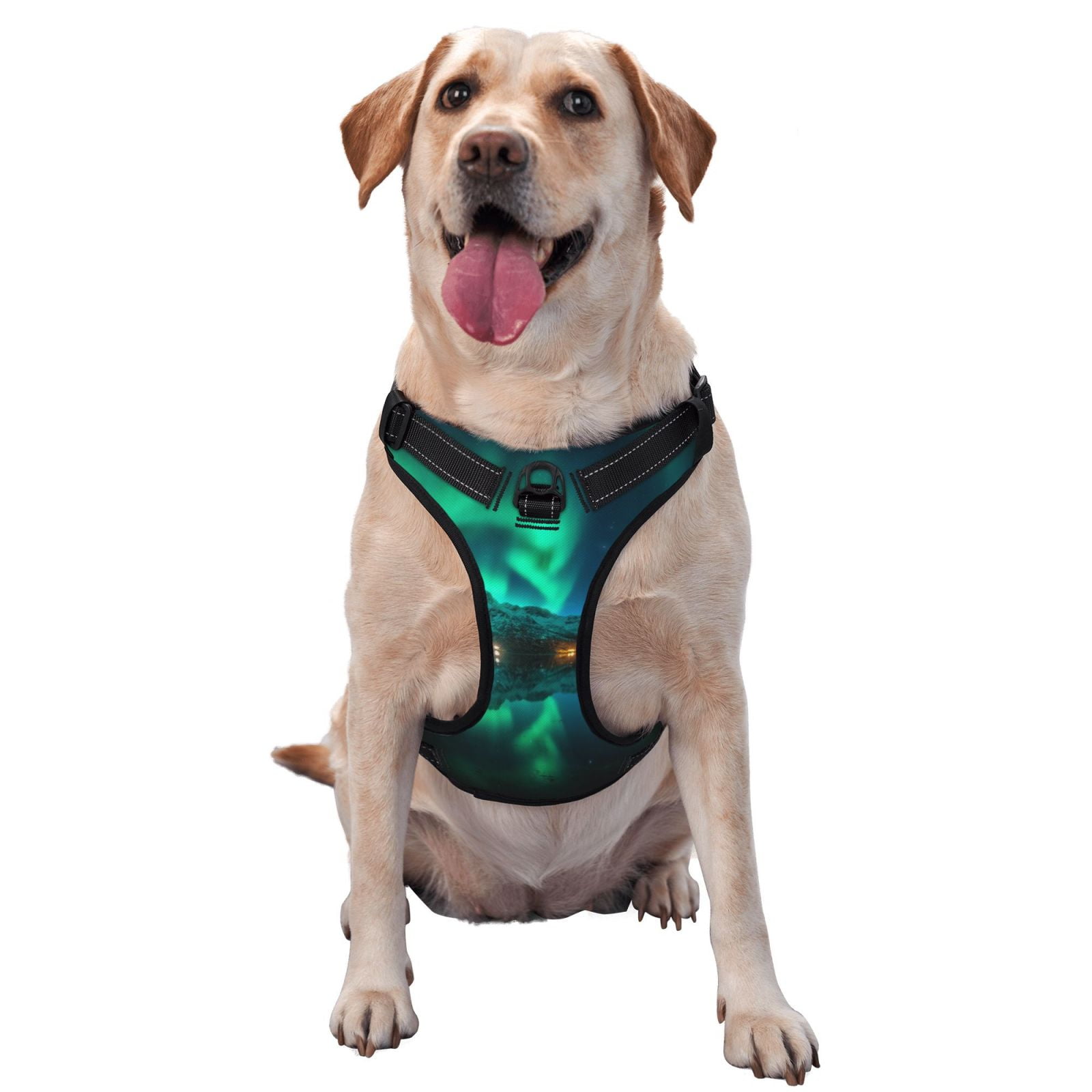 Vsdgher Northern Lights 2 Dog Harness, No-Pull Pet Harness, Dog Vest, Pet Vest for Small to Large Dogs-Small