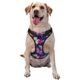 thumbnail image 1 of Vsdgher Paint Butterflies Pattern Dog Harness,No Pull Pet Harness with Soft Padded Handle,Adjustable Reflective Vest with 2 Buckles,4 Slide Buckles,S-XL Large, 1 of 5