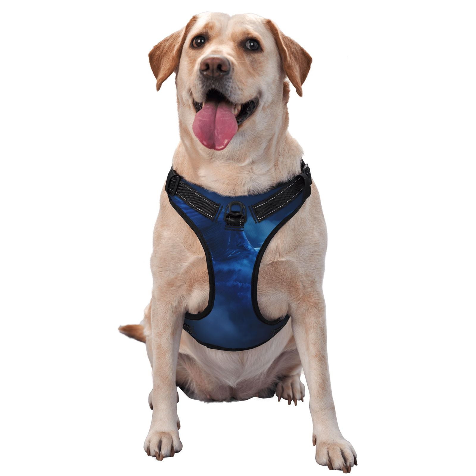 Vsdgher Pegasus Night Sky Dog Harness, No-Pull Pet Harness, Dog Vest, Pet Vest for Small to Large Dogs-Large