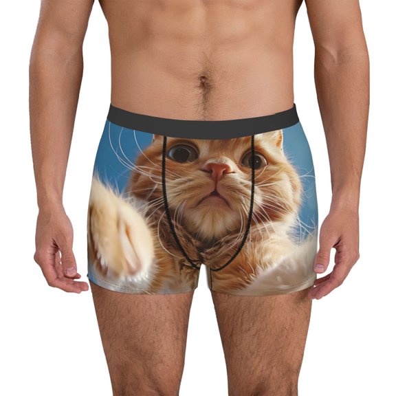 Vsdgher Playful Cat Fisheye View Pattern Men's Boxer Brief Underwear,Soft Funny Underwear for Men-XX-Large