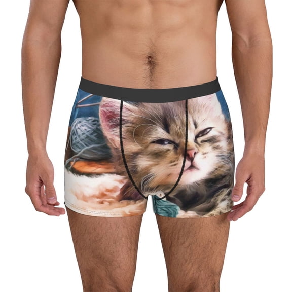 Vsdgher Playful Cat Pattern Men's Boxer Brief Underwear,Soft Funny Underwear for Men-Medium
