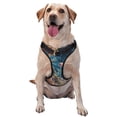 thumbnail image 1 of Vsdgher Elements Pattern Dog Harness,No Pull Pet Harness with Soft Padded Handle,Adjustable Reflective Vest with 2 Buckles,4 Slide Buckles,S-XL Small, 1 of 4