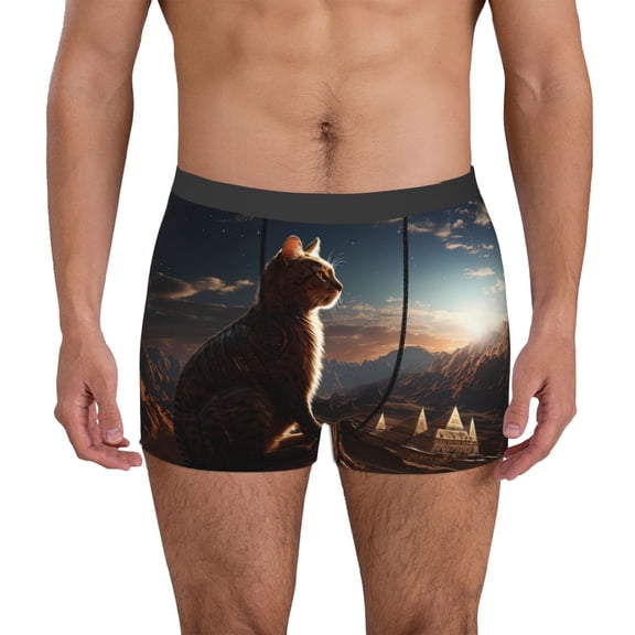 Vsdgher Pyramid Desert Cat Pattern Men's Boxer Brief Underwear,Soft Funny Underwear for Men-Small