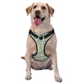 thumbnail image 1 of Vsdgher Rabbit And Chick Pattern Dog Harness,No Pull Pet Harness with Soft Padded Handle,Adjustable Reflective Vest with 2 Buckles,4 Slide Buckles,S-XL Medium, 1 of 4