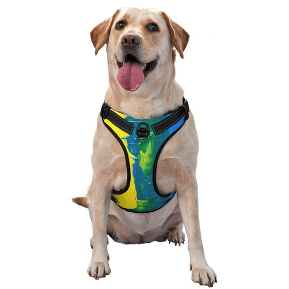 Vsdgher Rainbow Colored Pattern Dog Harness,No Pull Pet Harness with Soft Padded Handle,Adjustable Reflective Vest with 2 Buckles,4 Slide Buckles,S-XL Medium