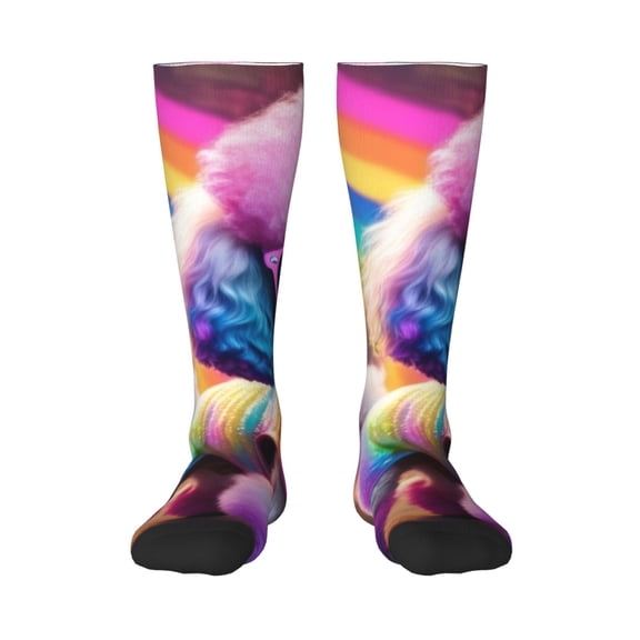 Vsdgher Rainbow Poodle Urban Street Knee Socks, High Socks Long Stretchy Sock Women Knee High Stocking, Long Socks for Women
