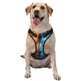 thumbnail image 1 of Vsdgher Red And Blue Fire Lion Pattern Dog Harness,No Pull Pet Harness with Soft Padded Handle,Adjustable Reflective Vest with 2 Buckles,4 Slide Buckles,S-XL Medium, 1 of 4