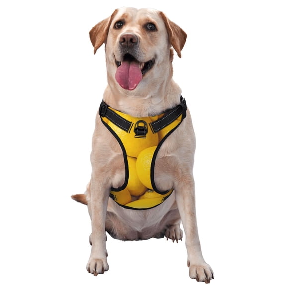 Vsdgher Ripe Yellow Lemon Pattern Dog Harness,No Pull Pet Harness with Soft Padded Handle,Adjustable Reflective Vest with 2 Buckles,4 Slide Buckles,S-XL X-Large