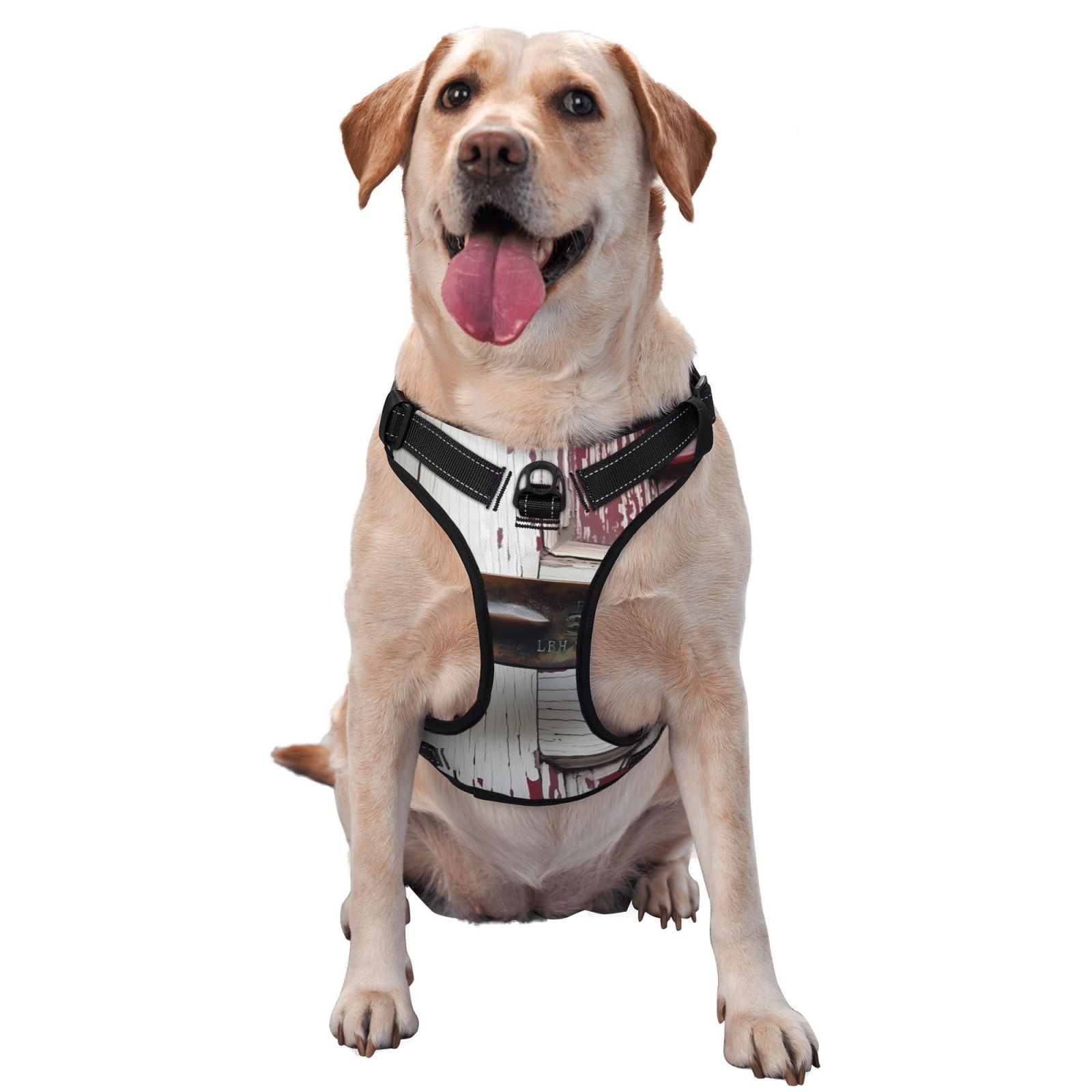 Vsdgher Rustic Door Handle Closeup Dog Harness, No-Pull Pet Harness, Dog Vest, Pet Vest for Small to Large Dogs-Small