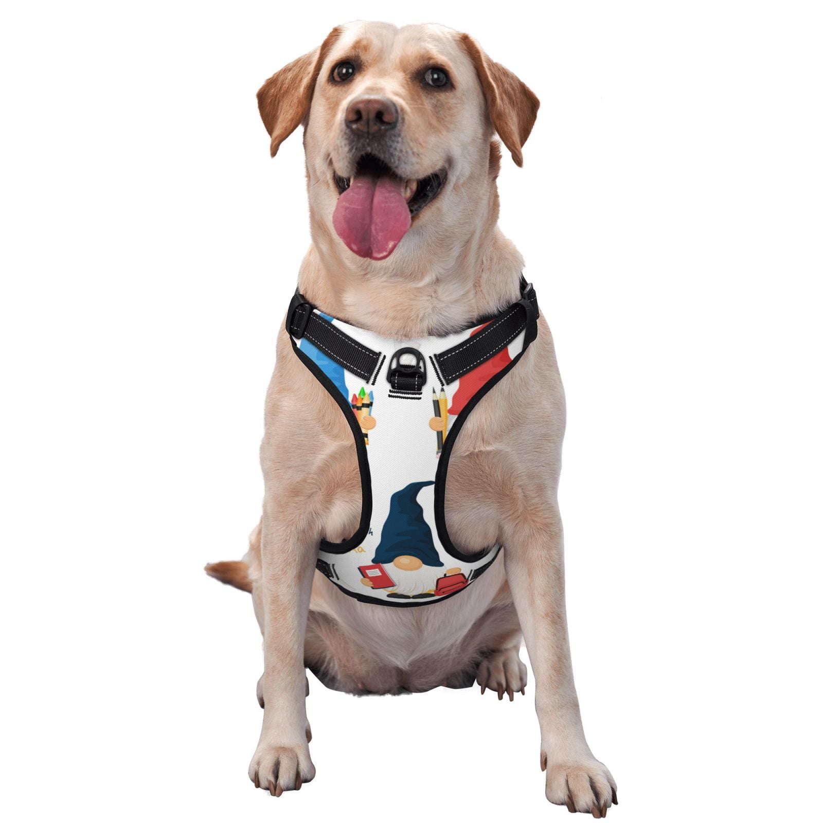 Vsdgher School Cute Gnomes Dog Harness, No-Pull Pet Harness, Dog Vest, Pet Vest for Small to Large Dogs-Medium