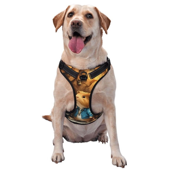 Vsdgher Scientist Guinea Pig Pattern Dog Harness,No Pull Pet Harness with Soft Padded Handle,Adjustable Reflective Vest with 2 Buckles,4 Slide Buckles,S-XL Large