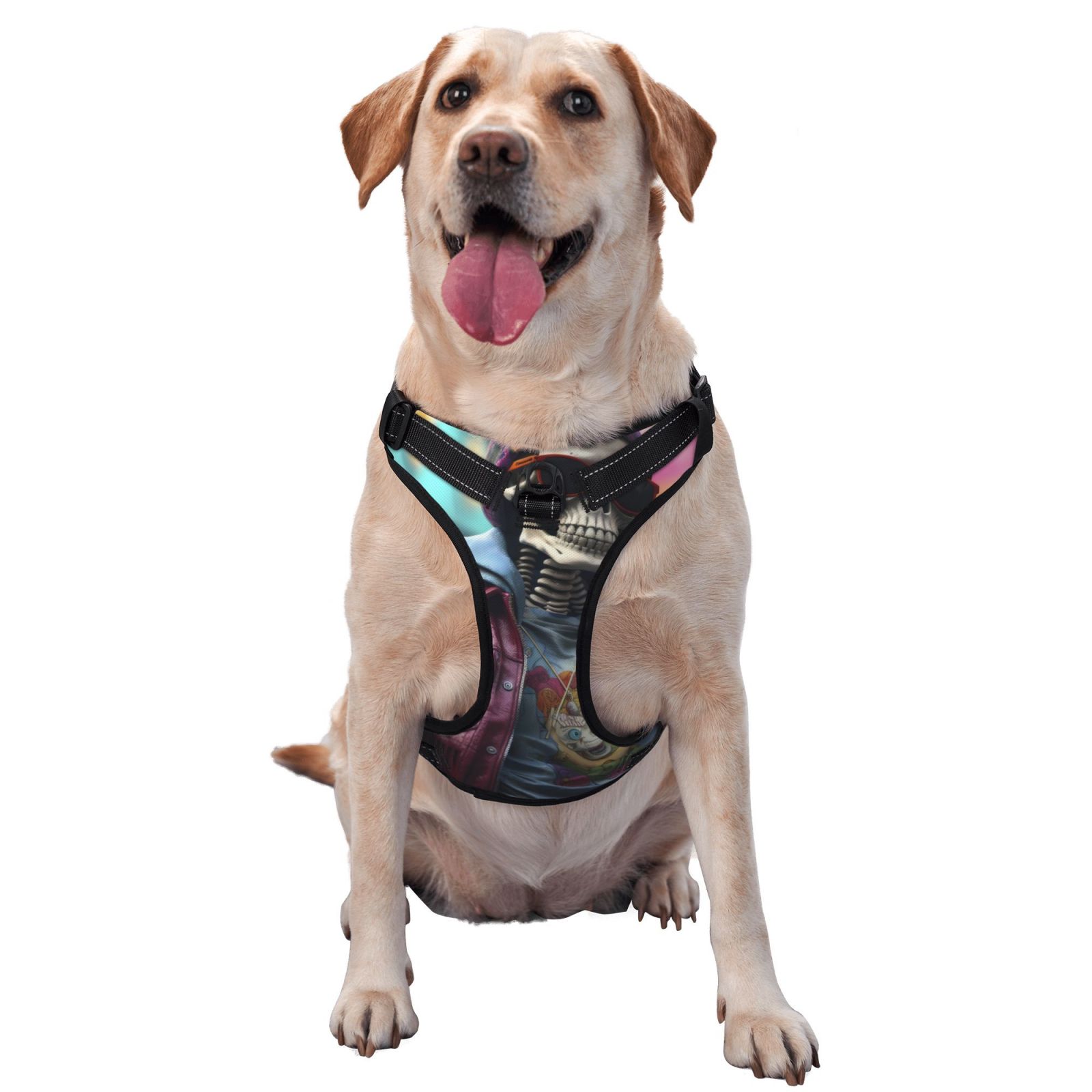 Vsdgher Skeleton Cool Street Fashion Dog Harness, No-Pull Pet Harness, Dog Vest, Pet Vest for Small to Large Dogs-Medium