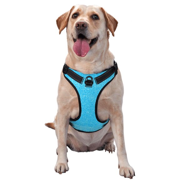 Vsdgher Sky Blue Glitter Pattern Dog Harness,No Pull Pet Harness with Soft Padded Handle,Adjustable Reflective Vest with 2 Buckles,4 Slide Buckles,S-XL