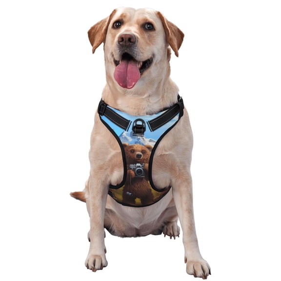 Vsdgher Snowy Mountain Photography Bear Pattern Dog Harness,No Pull Pet Harness with Soft Padded Handle,Adjustable Reflective Vest with 2 Buckles,4 Slide Buckles,S-XL