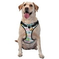 thumbnail image 1 of Vsdgher Space Doodle Pattern Dog Harness,No Pull Pet Harness with Soft Padded Handle,Adjustable Reflective Vest with 2 Buckles,4 Slide Buckles,S-XL Medium, 1 of 4