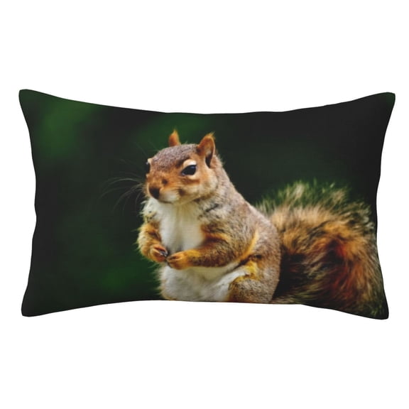 Vsdgher Squirrels Eating Peanuts On The Tree Pillow Cases, Pillow Covers - suit sofa or office-16"x24"