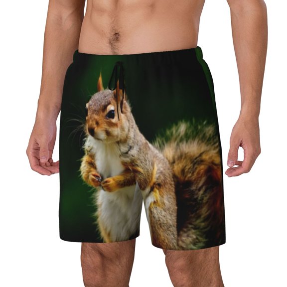 Vsdgher Squirrels Eating Peanuts On The Tree for Mens Swim Trunks with Compression Liner Swim Shorts Swim Suits Board Shorts-Small