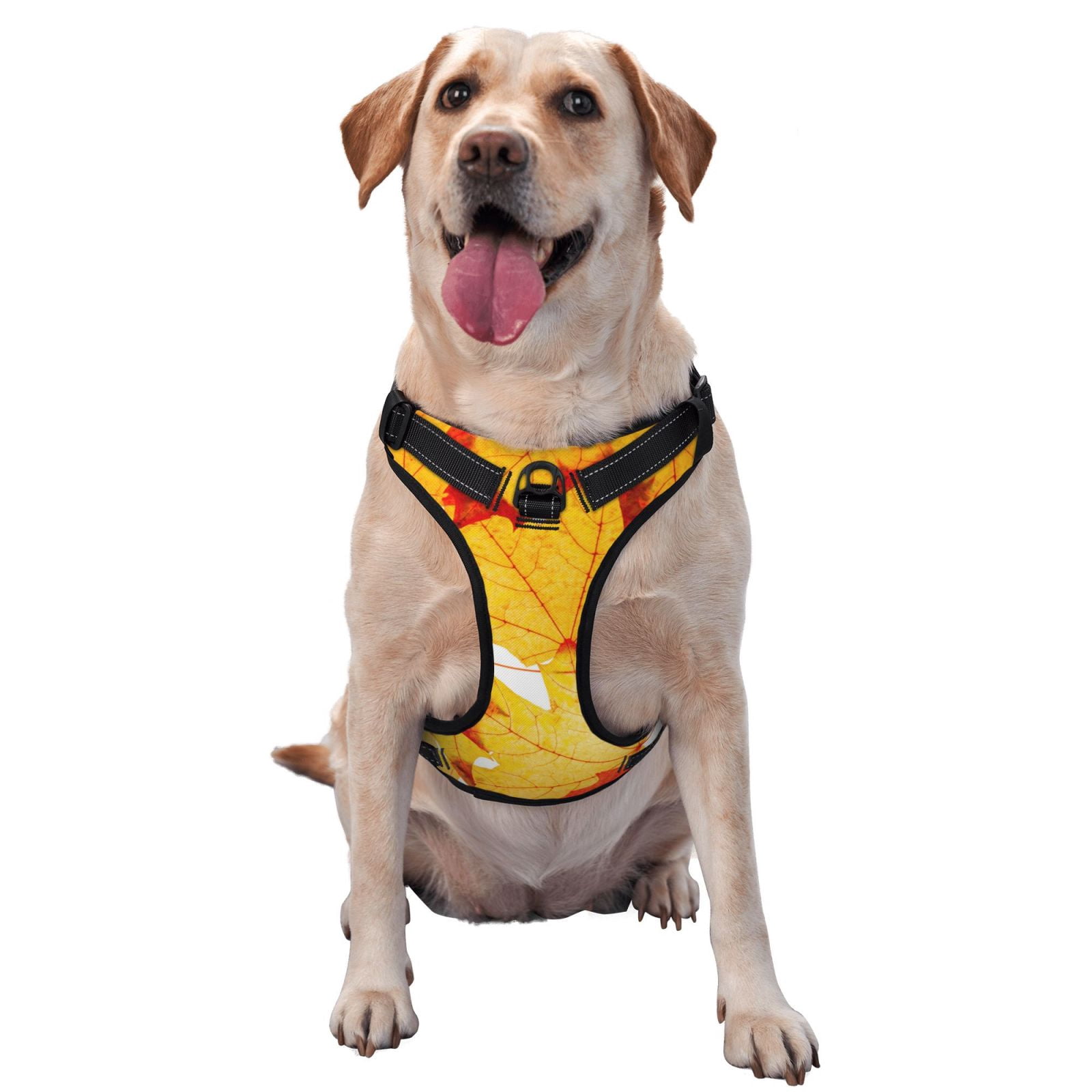 Vsdgher Tasty Toasts Dog Harness, No-Pull Pet Harness, Dog Vest, Pet Vest for Small to Large Dogs-