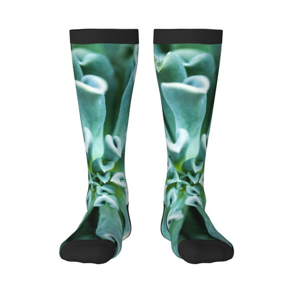 Vsdgher Teal Cactus Knee Socks, High Socks Long Stretchy Sock Women Knee High Stocking, Long Socks for Women