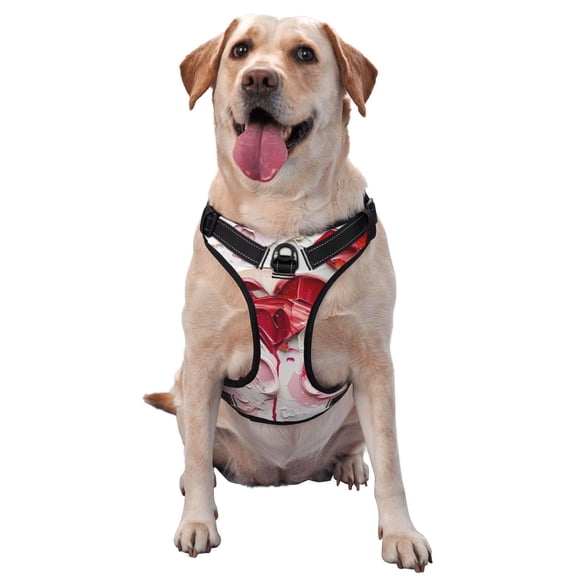 Vsdgher Textured Heart Abstract Art Dog Harness, No-Pull Pet Harness, Dog Vest, Pet Vest for Small to Large Dogs-Medium
