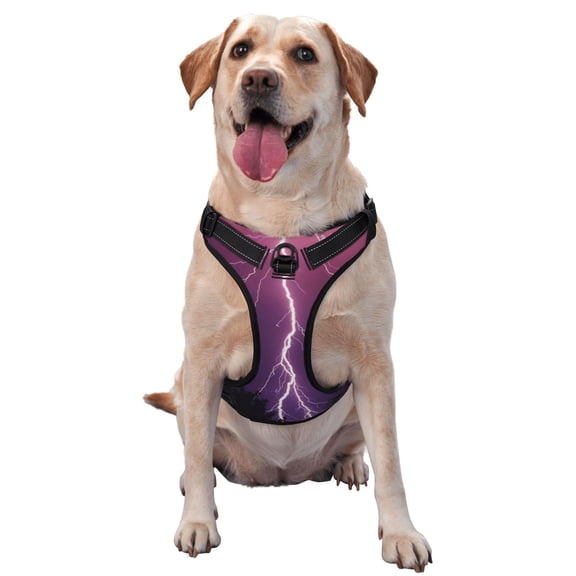 Vsdgher Thunderstorm Violet Purple Pattern Dog Harness,No Pull Pet Harness with Soft Padded Handle,Adjustable Reflective Vest with 2 Buckles,4 Slide Buckles,S-XL Large
