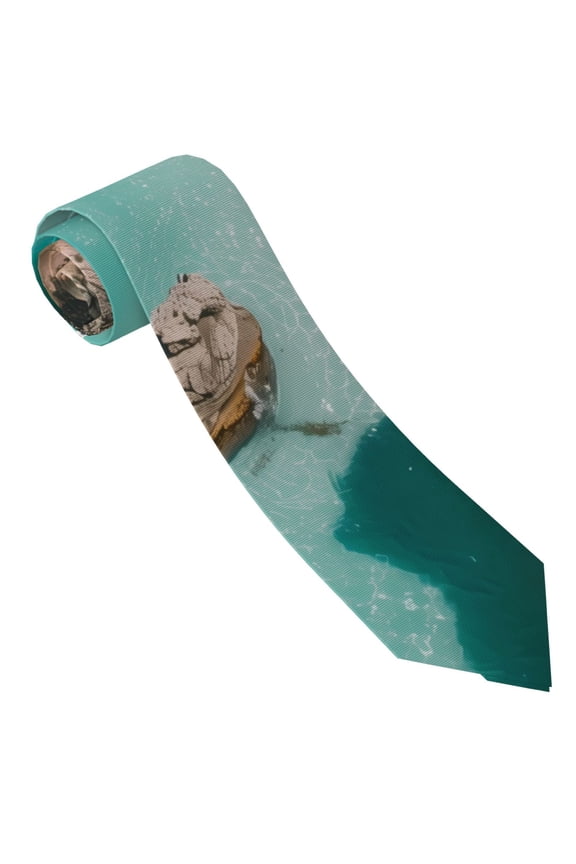Turquoise Beach Kayaking Print Ties for Men 4.7" Formal Necktie Wedding Accessory Men's Business Ties for Wedding Bussiness Work
