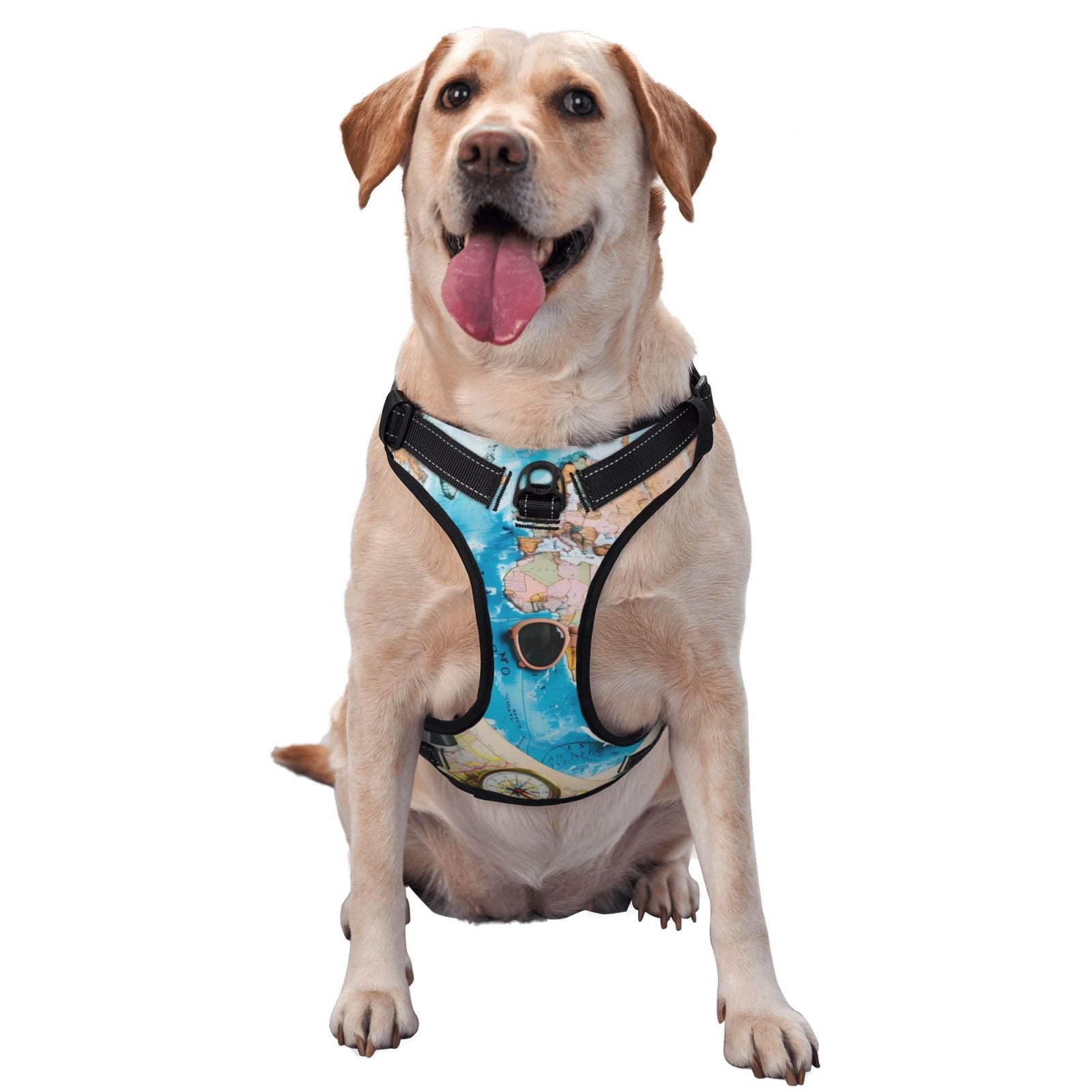 Vsdgher Vintage Map Travel Essentials Dog Harness, No-Pull Pet Harness, Dog Vest, Pet Vest for Small to Large Dogs-X-Large