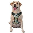 thumbnail image 1 of Vsdgher Vintage Print Island Skull Pattern Dog Harness,No Pull Pet Harness with Soft Padded Handle,Adjustable Reflective Vest with 2 Buckles,4 Slide Buckles,S-XL Medium, 1 of 4