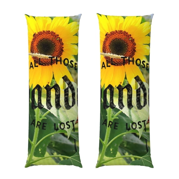 Vsdgher Not All Who Wander Are Lost Body Pillow Cover, Pillowcases with Hidden Zipper Breathable Long Pillow Case (Pillows are not included,20x54 inch)