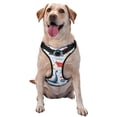 thumbnail image 1 of Vsdgher Watercolor Nautical Pattern Dog Harness,No Pull Pet Harness with Soft Padded Handle,Adjustable Reflective Vest with 2 Buckles,4 Slide Buckles,S-XL Small, 1 of 4