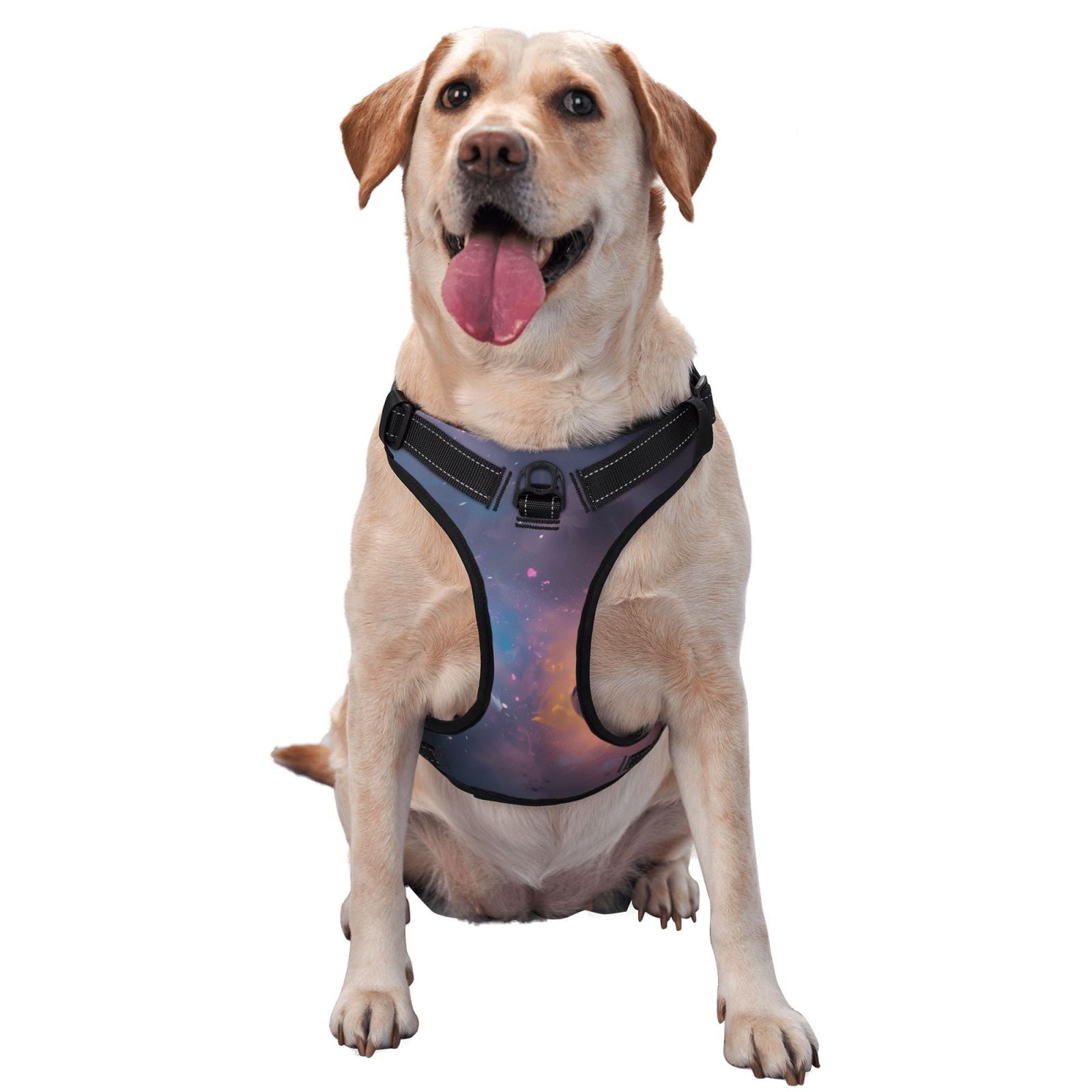 Vsdgher Watercolor Sky Dragon Dog Harness, No-Pull Pet Harness, Dog Vest, Pet Vest for Small to Large Dogs-