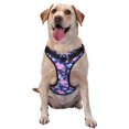 thumbnail image 1 of Vsdgher White Skull Flower Pattern Dog Harness,No Pull Pet Harness with Soft Padded Handle,Adjustable Reflective Vest with 2 Buckles,4 Slide Buckles,S-XL X-Large, 1 of 4