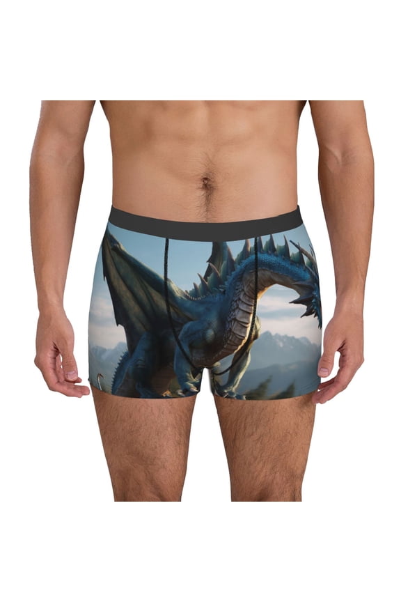 Wild Blue Cool Dragon Pattern Men's Boxer Brief Underwear,Soft Funny Underwear for Men-Large