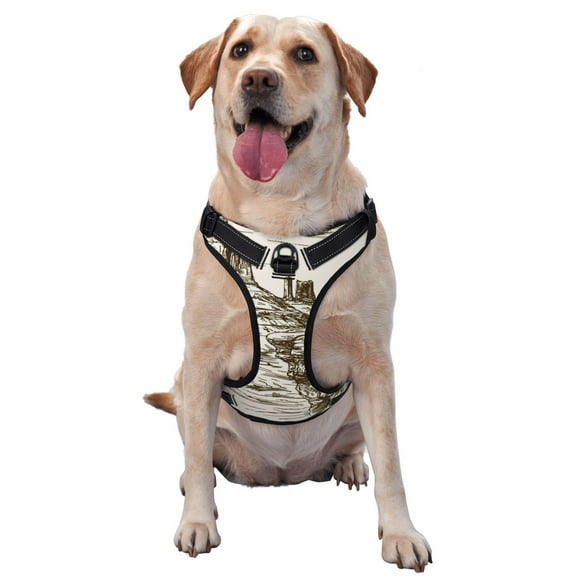 Vsdgher Western Desert Cowboys Dog Harness, No-Pull Pet Harness, Dog Vest, Pet Vest for Small to Large Dogs-