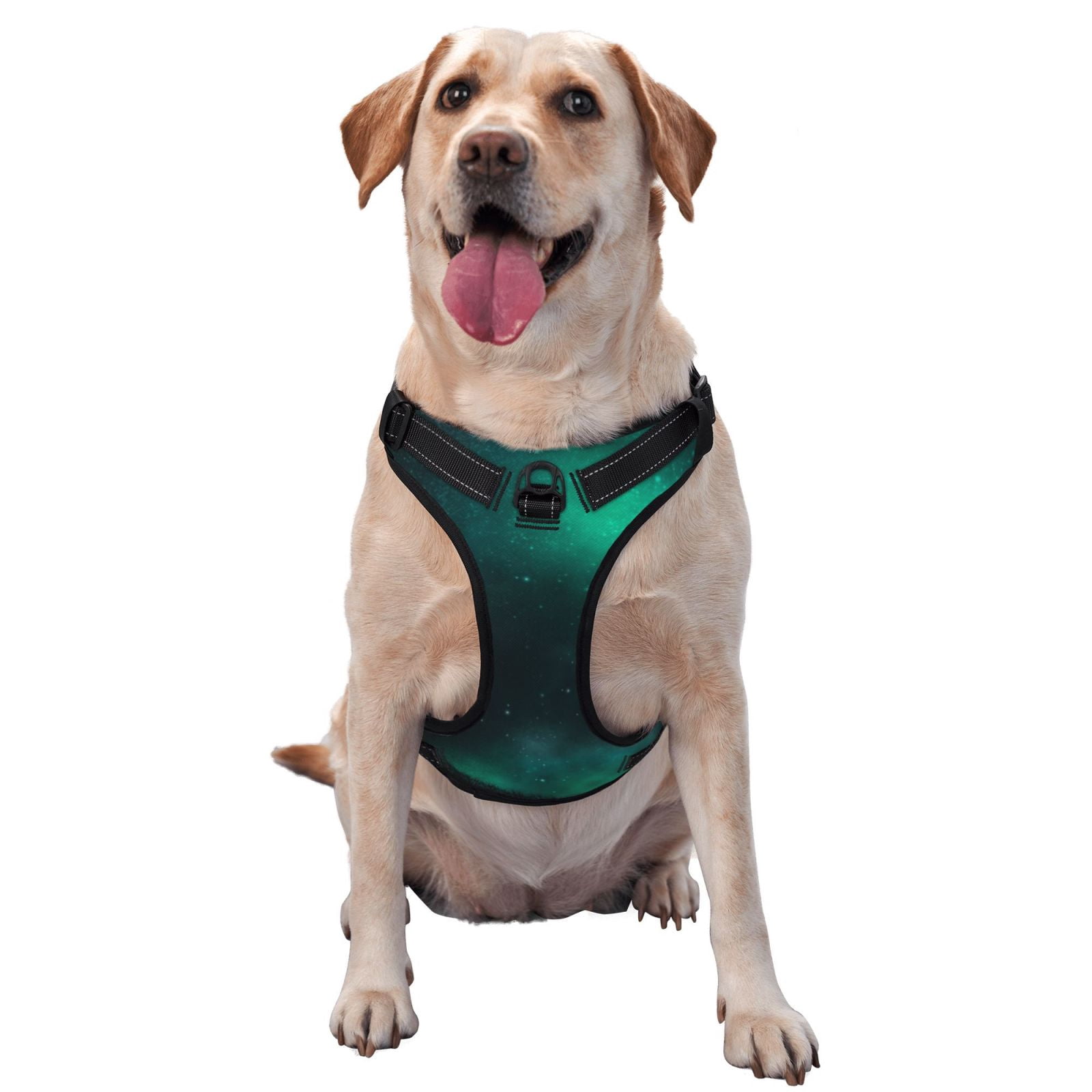 Vsdgher Witch House On The Hill Dog Harness, No-Pull Pet Harness, Dog Vest, Pet Vest for Small to Large Dogs-Medium