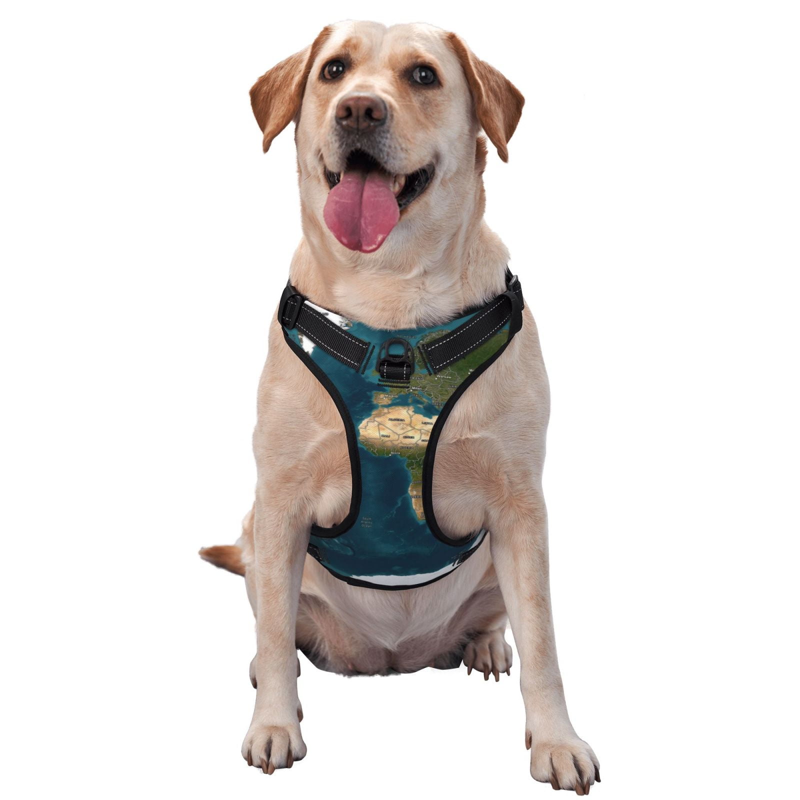 Vsdgher World Map Dog Harness, No-Pull Pet Harness, Dog Vest, Pet Vest for Small to Large Dogs-X-Large