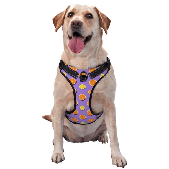 Vsdgher Yellow Lemon And Orange Pattern Dog Harness,No Pull Pet Harness with Soft Padded Handle,Adjustable Reflective Vest with 2 Buckles,4 Slide Buckles,S-XL Large