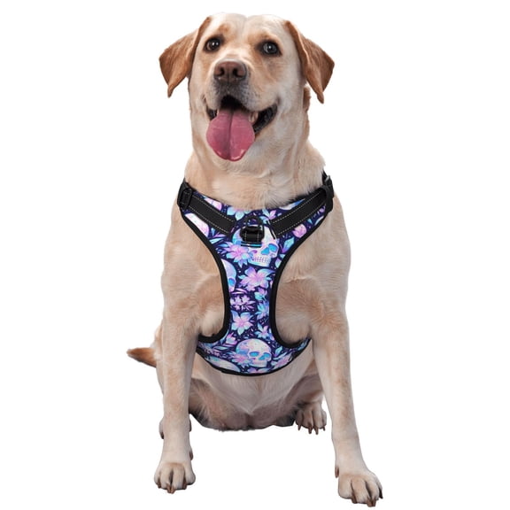 Vsdgher crystal Skull flower leaf Pattern Dog Harness,No Pull Pet Harness with Soft Padded Handle,Adjustable Reflective Vest with 2 Buckles,4 Slide Buckles,S-XL Small