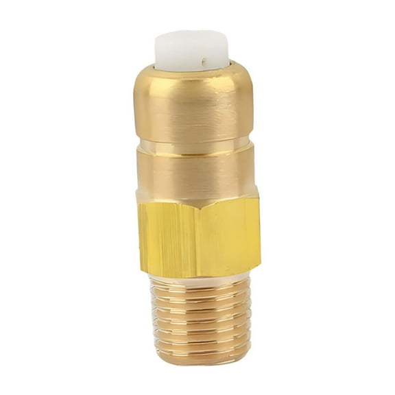 Vsenkes Thermal Release Valve for Pressure Washer, Replacement Temperature Control Micro Thermal Exhaust Valve, Brass,Easy to Install B