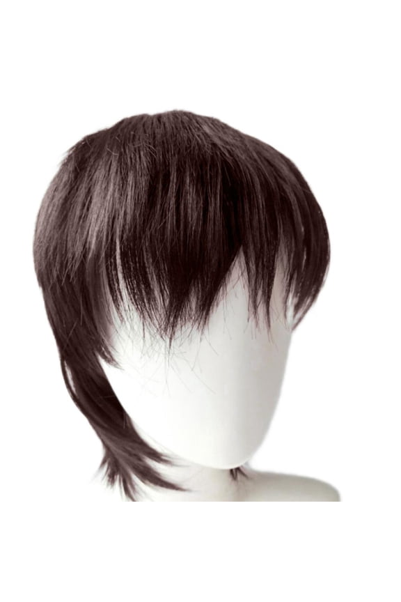 Wolftail Hair Wig Retro Wig Male Center Bangs Full Wigs-