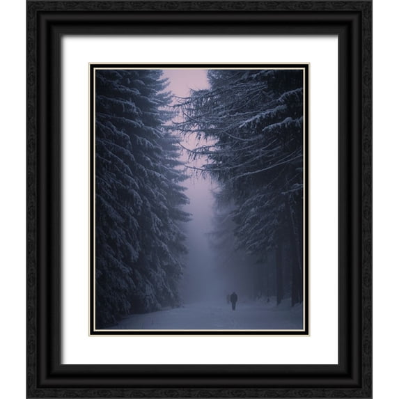 Vukmanov, Adam 20x24 Black Ornate Wood Framed with Double Matting Museum Art Print Titled - Winter Night