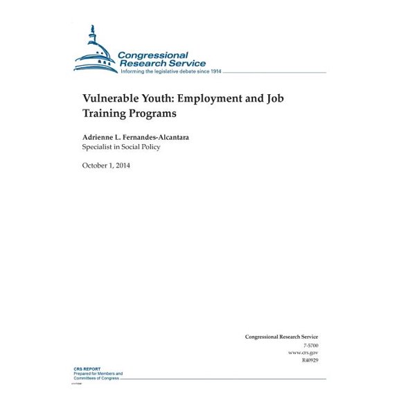 Vulnerable Youth: Employment and Job Training Programs