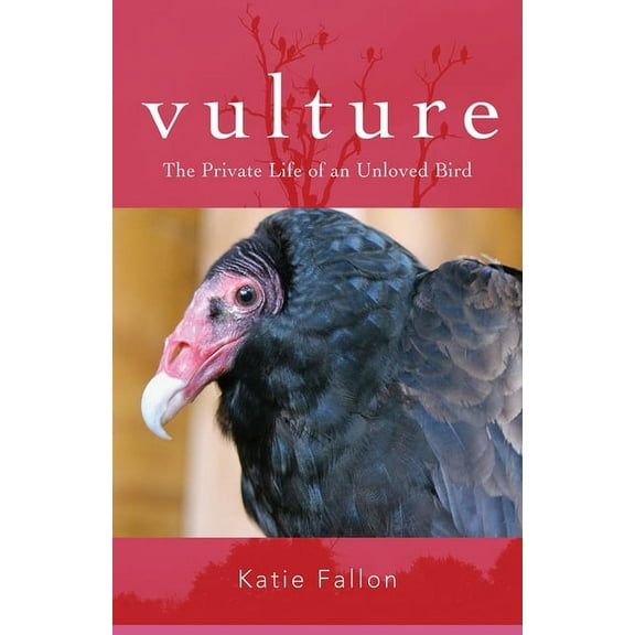 Vulture: The Private Life of an Unloved Bird, (Paperback)