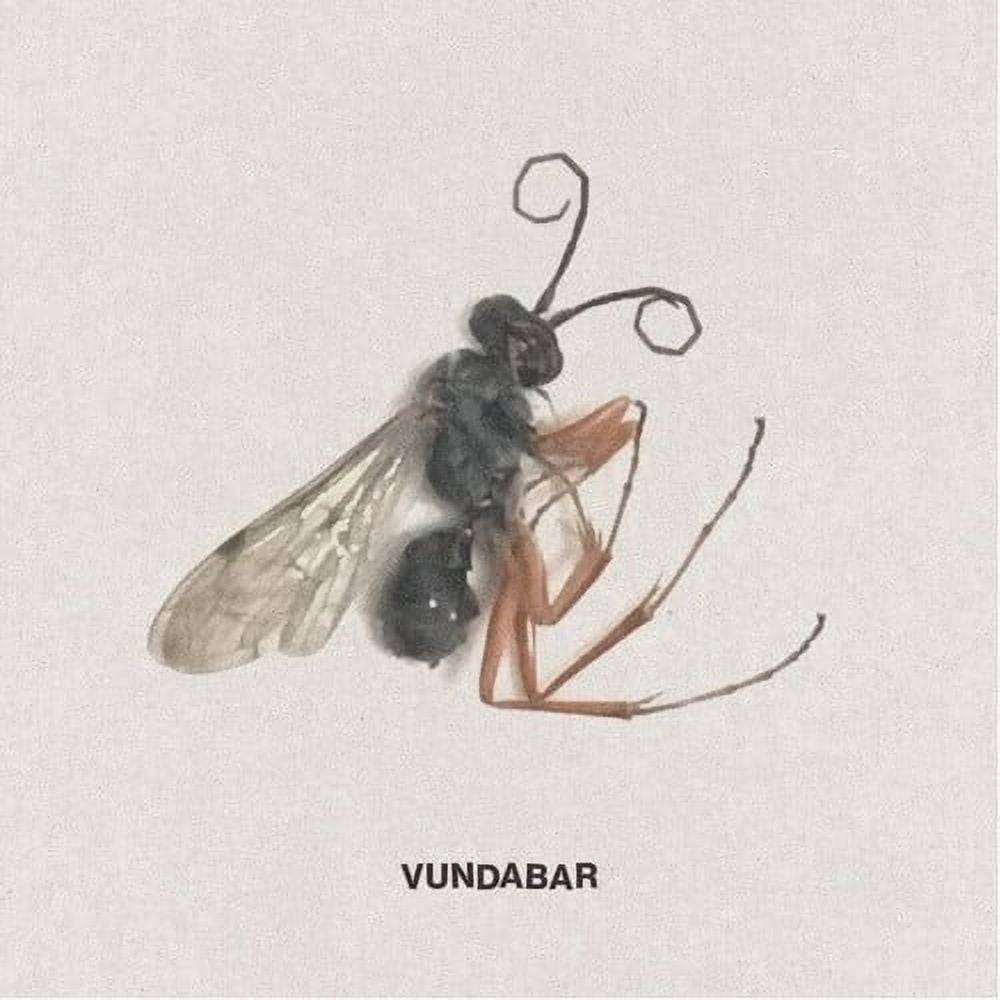 Vundabar - Good Old - Music & Performance - Vinyl