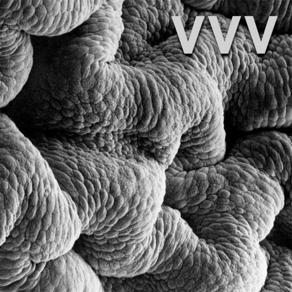 Vvv - Shadow World - Vinyl