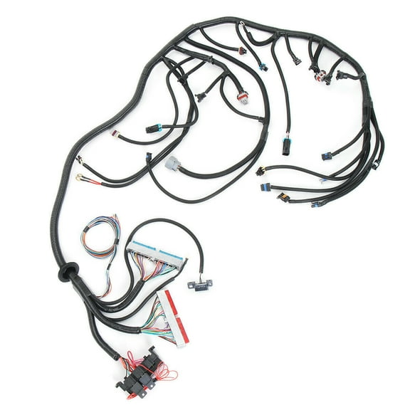 W/4L80E Standalone Wiring Harness (DBC)Fits 97-06 LS LS1 LS6 SWAP VORTEC