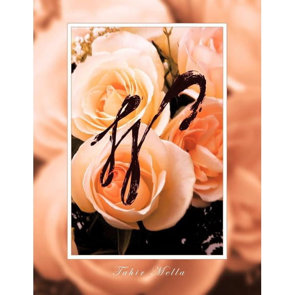 W (Paperback)
