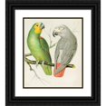 thumbnail image 1 of W. A . Blakston 12x14 Black Ornate Wood Framed Double Matted Museum Art Print Titled: Amazon Parrot, Grey Parrot (1878), 1 of 5